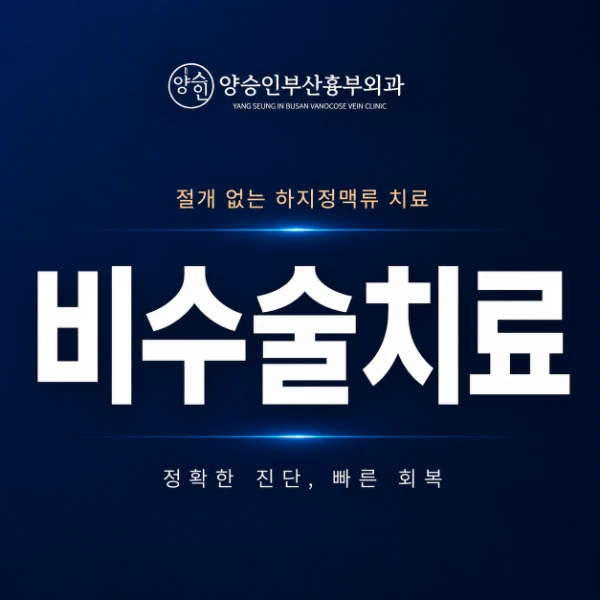 하지정맥류 비수술치료